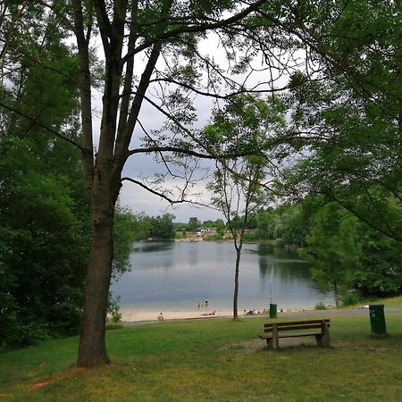 Ferienhaus 30 Am Silbersee Frielendorf 외부 사진